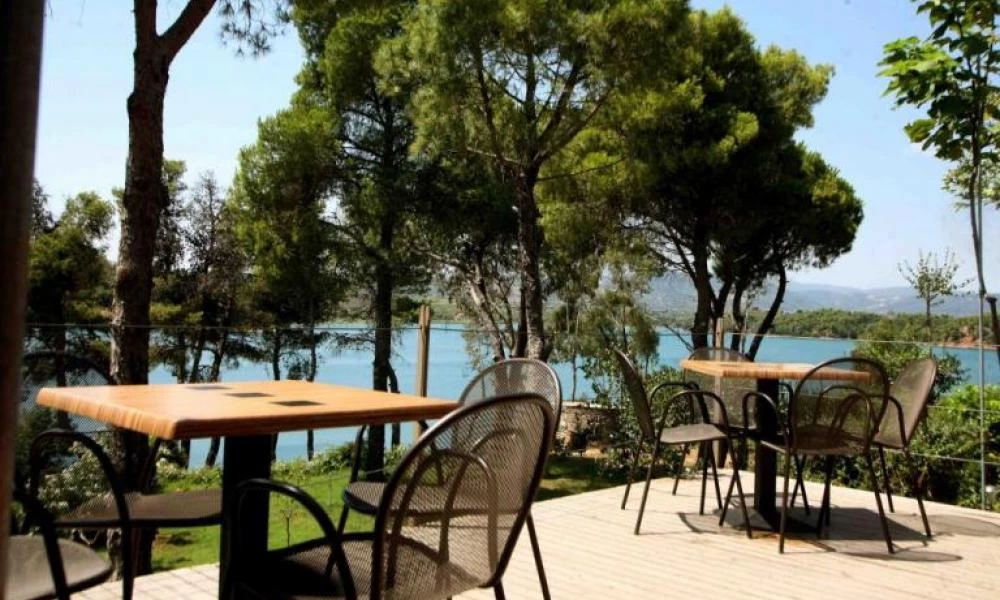 Βιάστηκαν να πιούν τον καφέ τους έξω και τον πλήρωσαν ακριβά